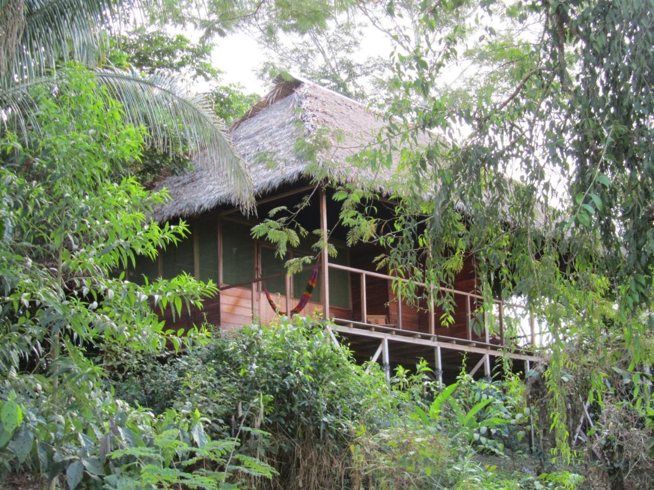 Хостел Sotupa Eco House Пуерто-Мальдонадо Екстер'єр фото